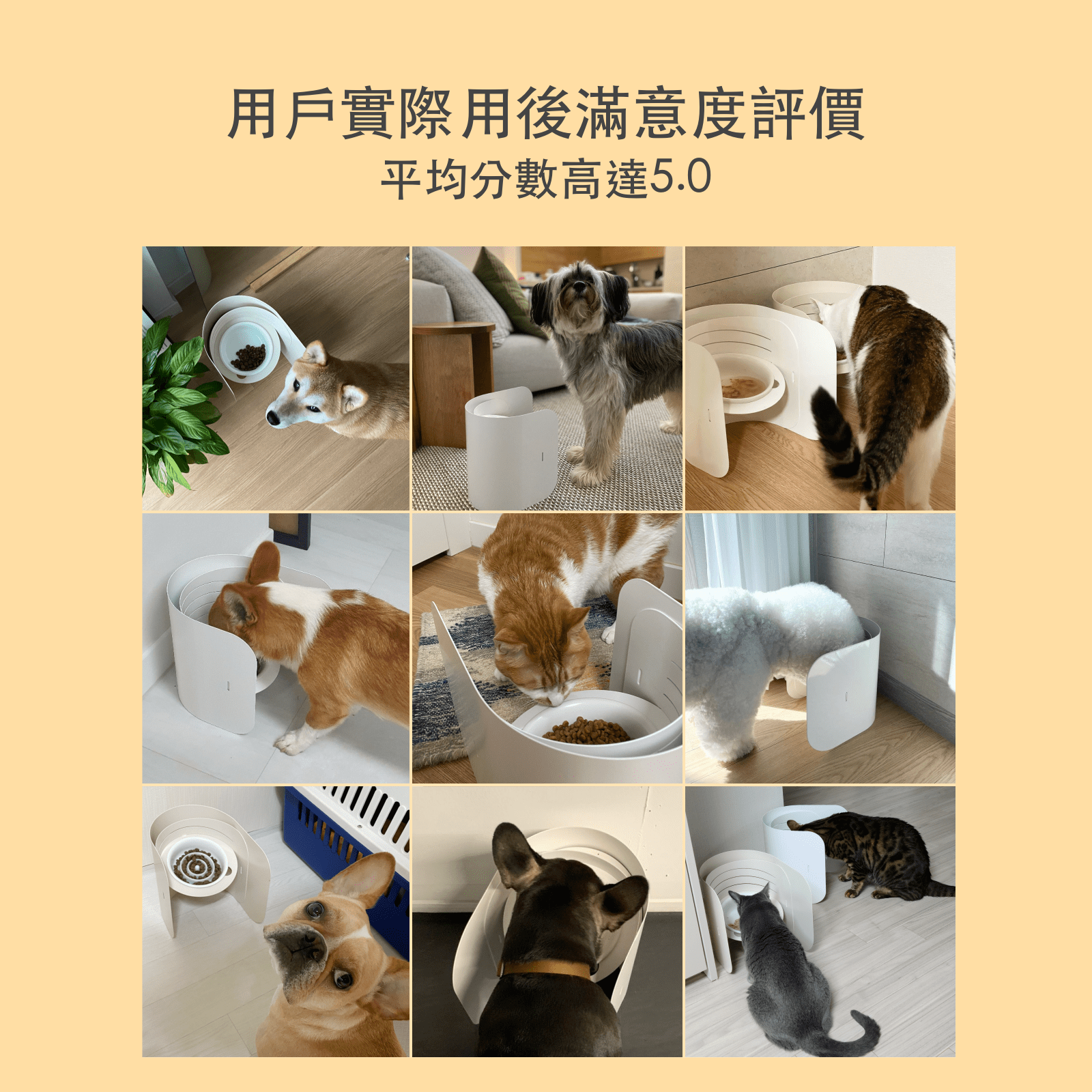 韓國 Fidotail 弧面6段式調節寵物碗架