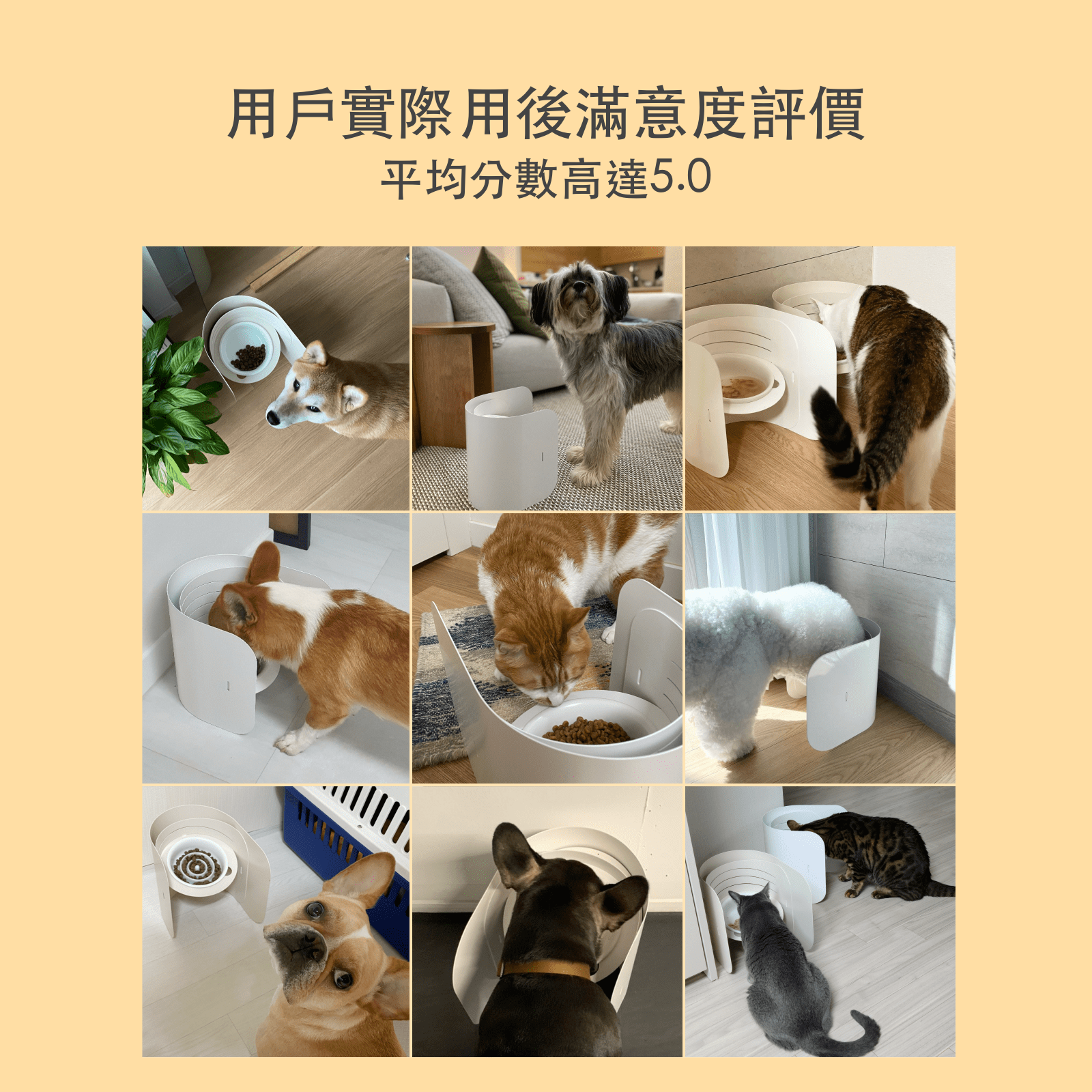 Korea Fidotail curved 6-section adjustable pet bowl holder