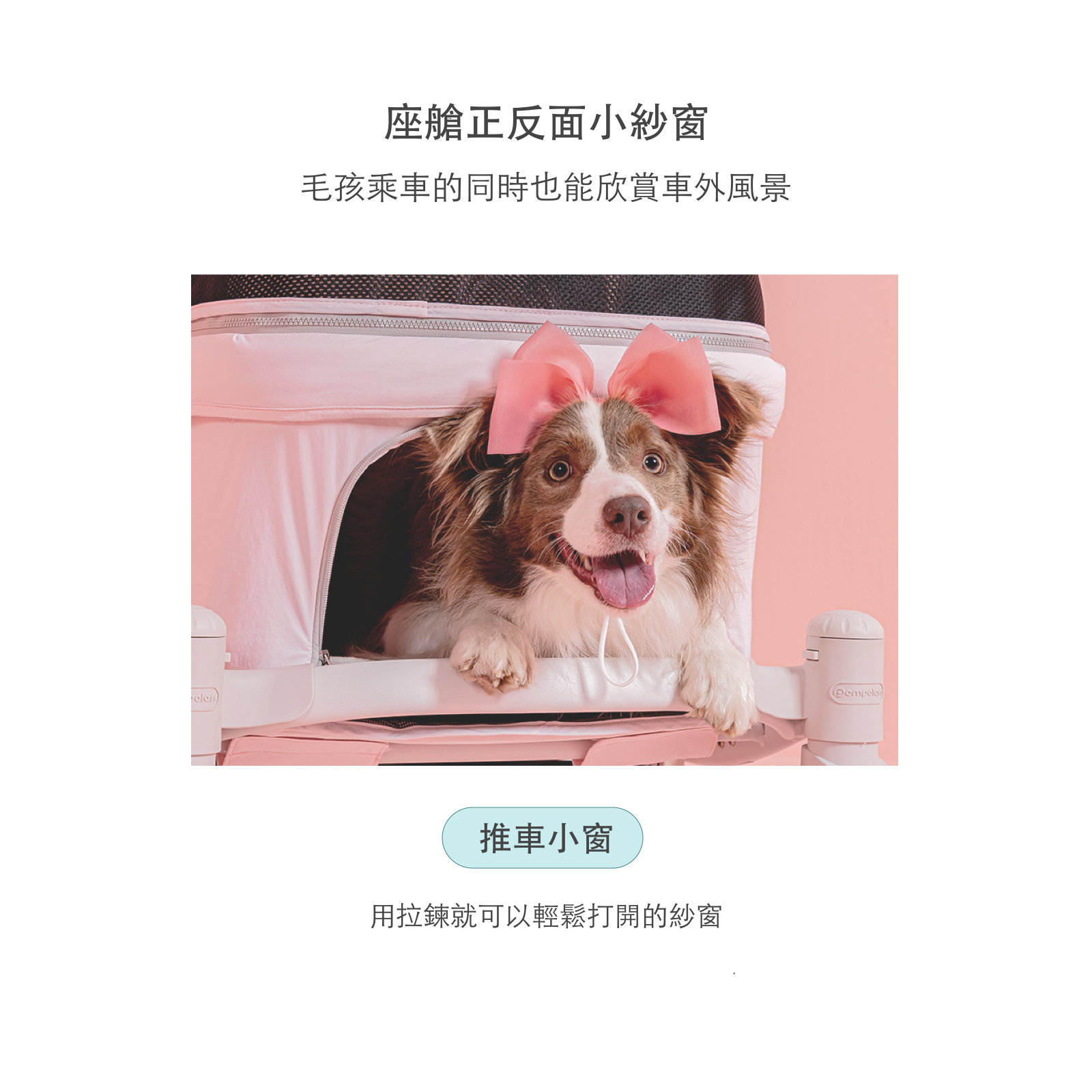 韓國 POMPOLARR PET 低重心雙開敞篷寵物推車｜一秒自動收車｜珍珠灰 - 高品質寵物推車 - 特價 $TWD 18800｜LOVE PET FAMILY