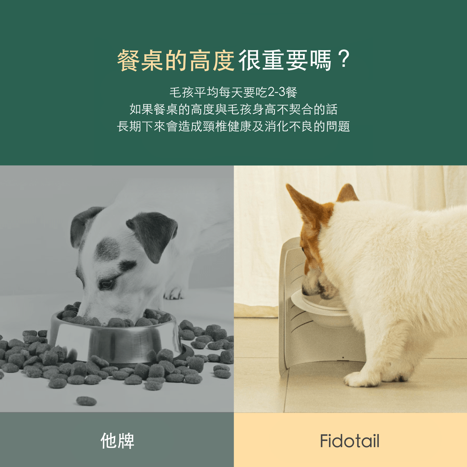 韓國 Fidotail 弧面6段式調節寵物碗架 - 高品質寵物碗架組 - 特價 $TWD 3280｜LOVE PET FAMILY