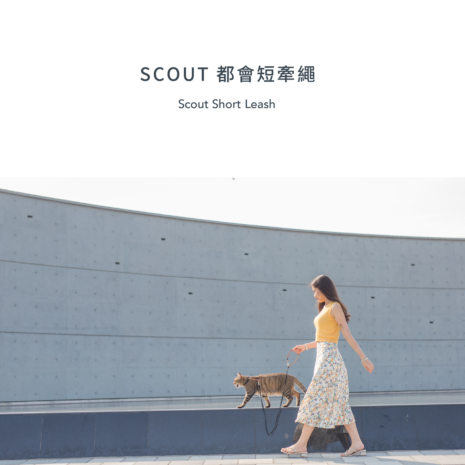 小宅生活 Housmall Living SCOUT 定距牽繩 - 高品質散步用品 - 特價 $TWD 560｜LOVE PET FAMILY