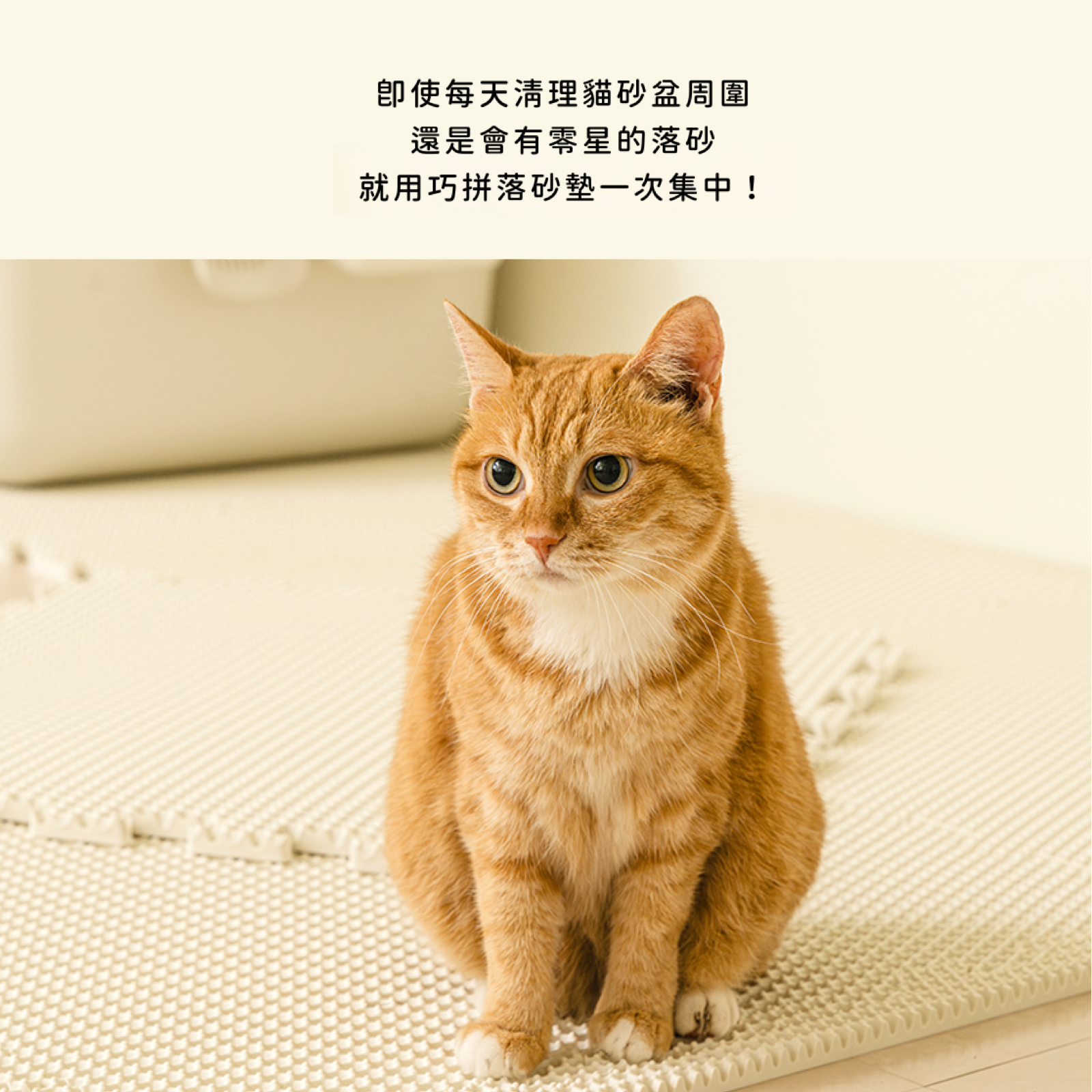 韓國 guruguru 巧拼落砂墊 - 高品質落砂墊 - 特價 $TWD 490｜LOVE PET FAMILY