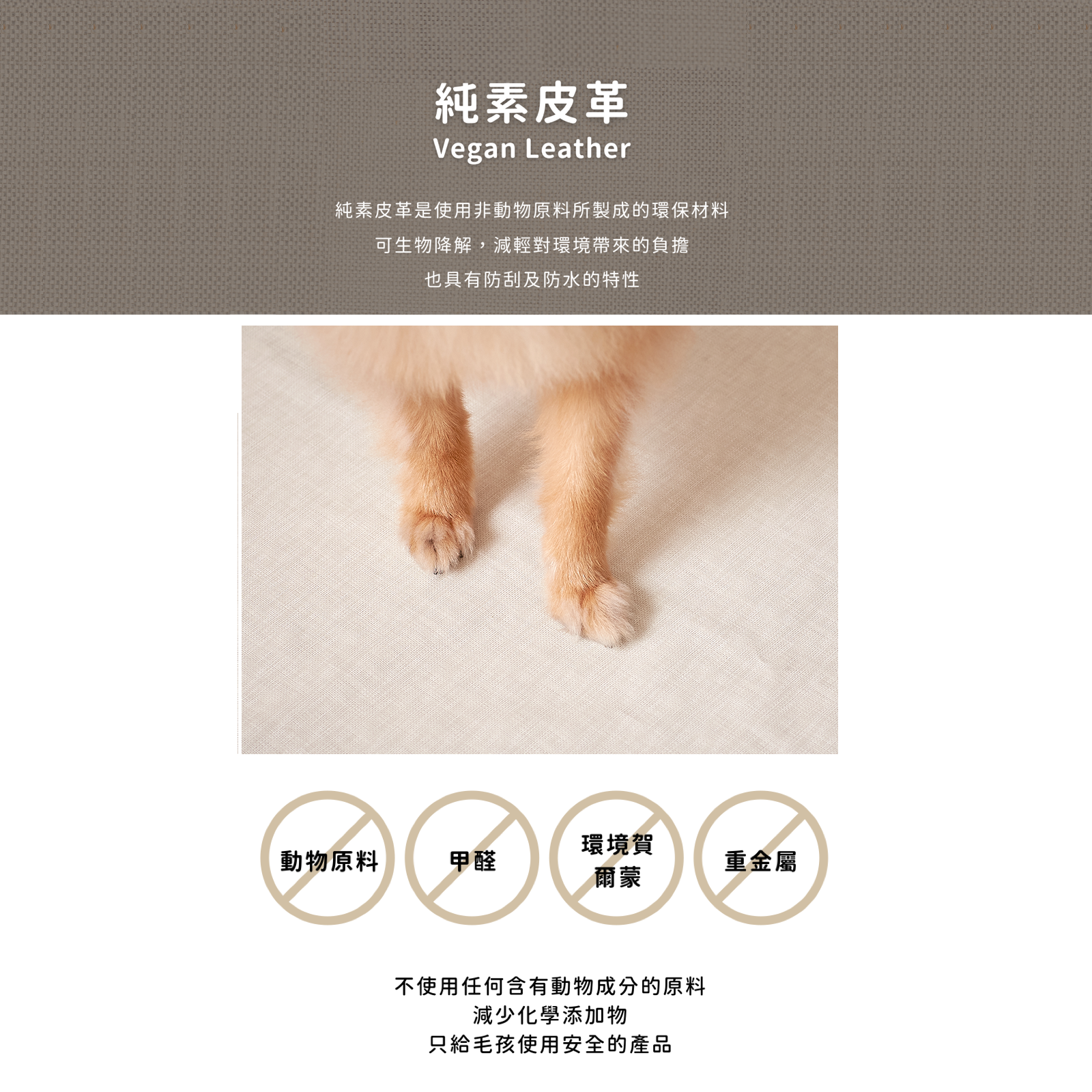 韓國 guruguru 後背式寵物外出包 WEGOBAG｜M size 9 kg 以下適用 - 高品質寵物背包 - 特價 $TWD 6300｜LOVE PET FAMILY