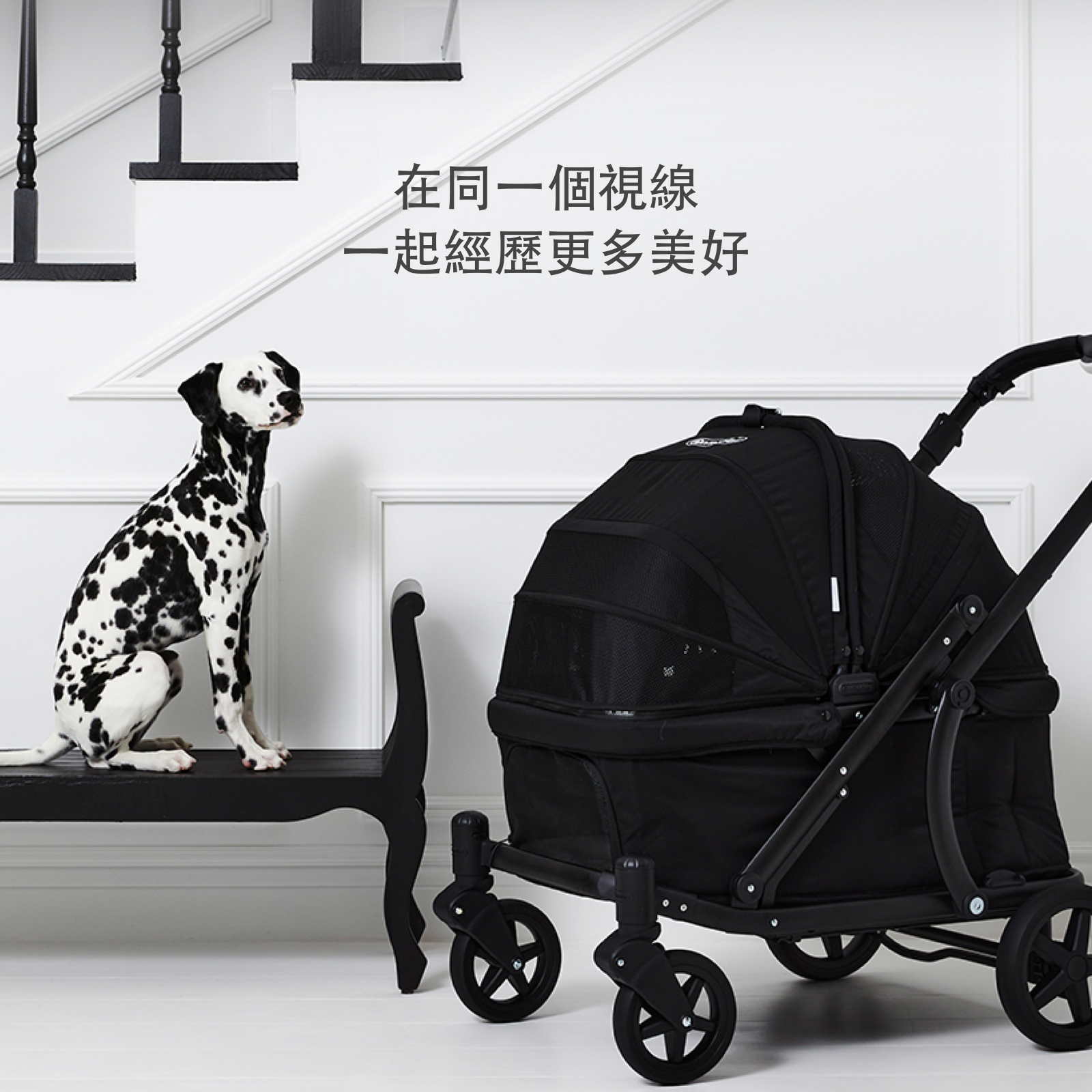 [Wholesale] 韓國 POMPOLARR PET 低重心雙開敞篷寵物推車｜一秒自動收車｜黎明黑 - 高品質 - 特價 $TWD 25800｜LOVE PET FAMILY