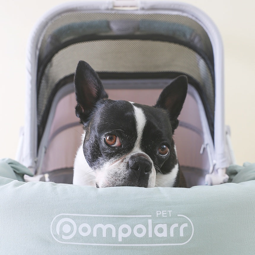 ［Wholesale］韓國 POMPOLARR PET  寵物推車配件推車保護套 - 高品質 - 特價 $TWD 1180｜LOVE PET FAMILY