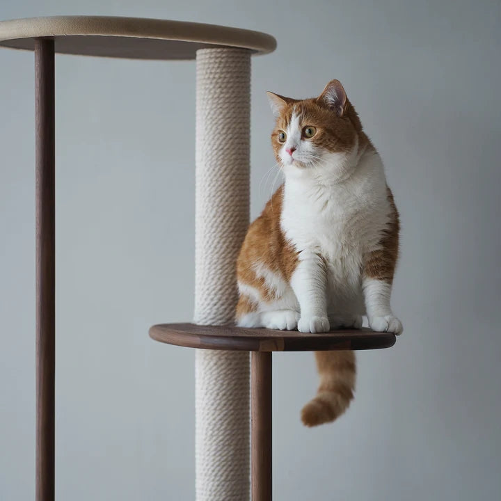 日本 KARIMOKU Cat Tree 貓跳台爬架｜實木｜米色＆胡桃原木色 - LOVE PET FAMILY