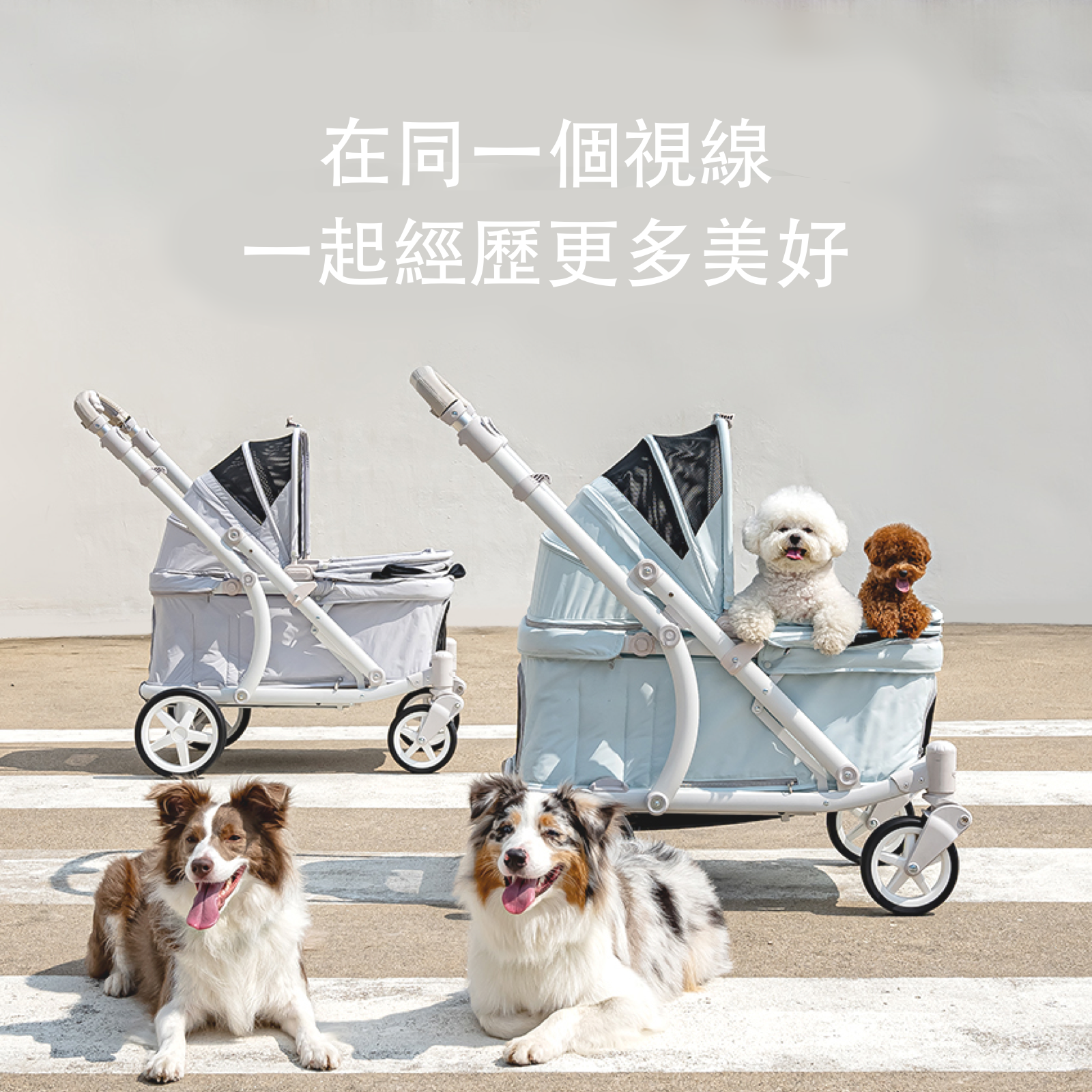 韓國 POMPOLARR PET 低重心雙開敞篷寵物推車｜一秒自動收車｜冰川藍 - 高品質寵物推車 - 特價 $TWD 18800｜LOVE PET FAMILY