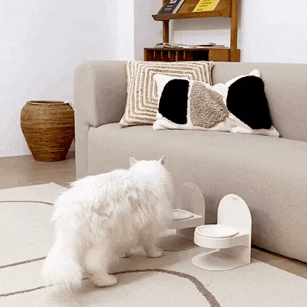 韓國 MoNYA 磁吸式可調節陶瓷貓碗架組 - 高品質寵物餐桌 - 特價 $TWD 1990｜LOVE PET FAMILY
