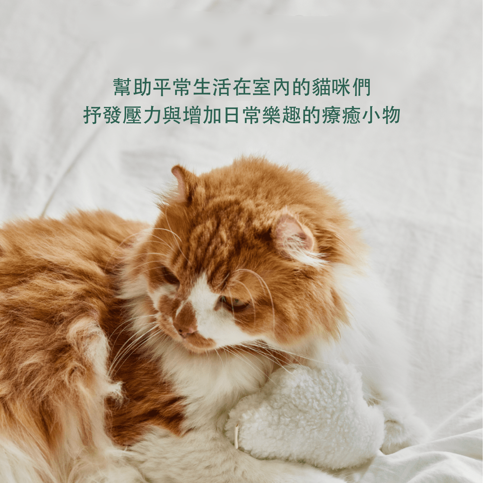 韓國 Fidotail  磁吸垂吊式懶人逗貓棒貓玩具 - 高品質貓抓柱 - 特價 $TWD 300｜LOVE PET FAMILY