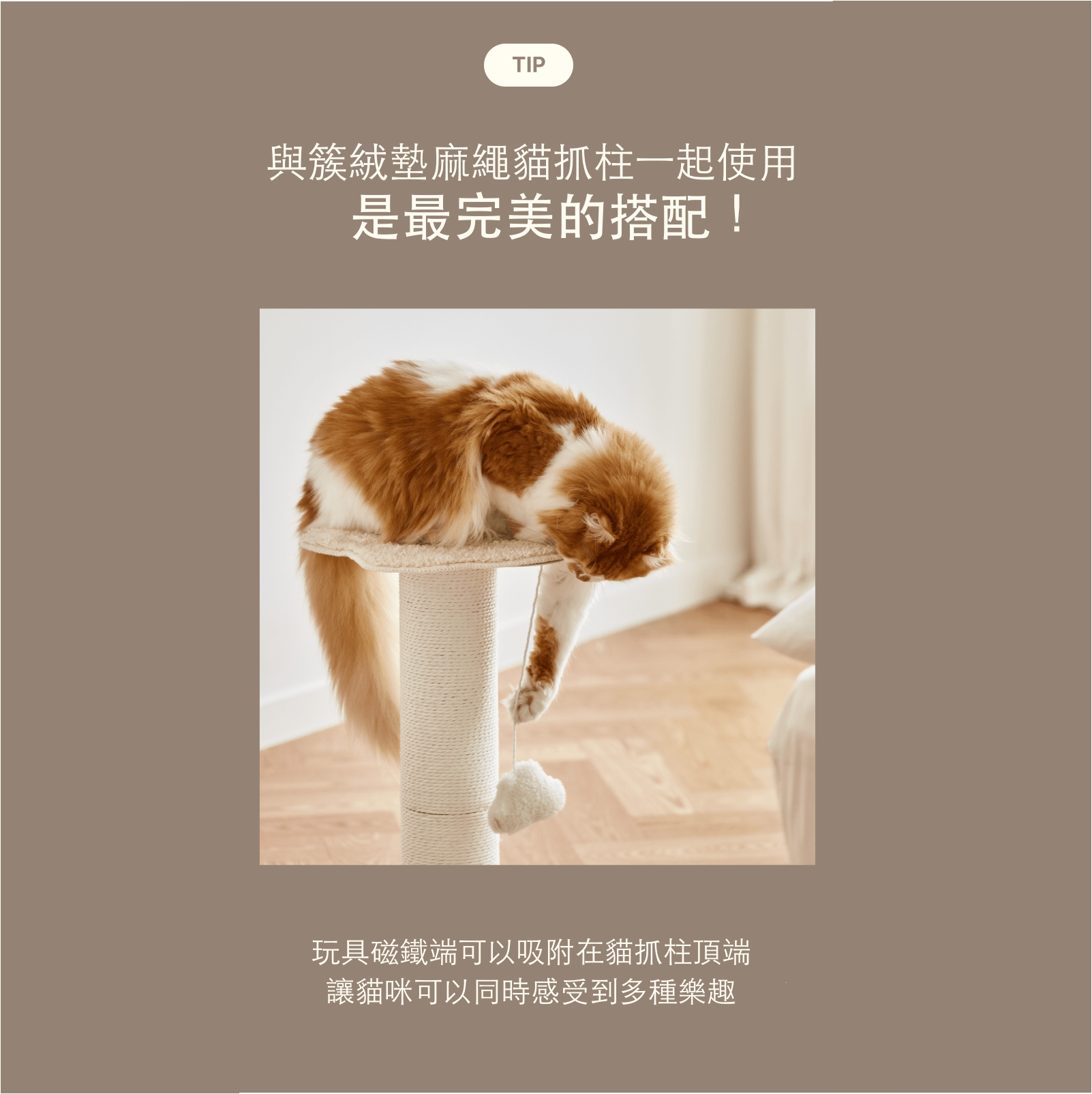 韓国 Fidotail 磁気ぶら下げ怠惰な猫のおもちゃ