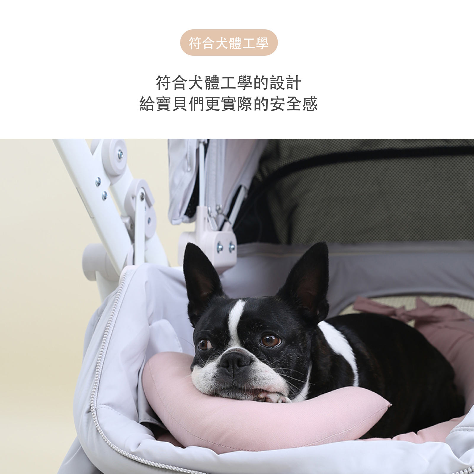 韓國 POMPOLARR PET 寵物推車配件推車座艙墊＋枕頭套組 - 高品質寵物推車配件 - 特價 $TWD 1980｜LOVE PET FAMILY