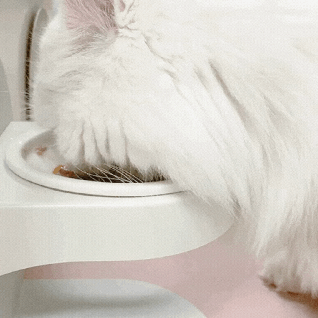 韓國 MoNYA 磁吸式可調節陶瓷貓碗架組 - 高品質寵物餐桌 - 特價 $TWD 1990｜LOVE PET FAMILY