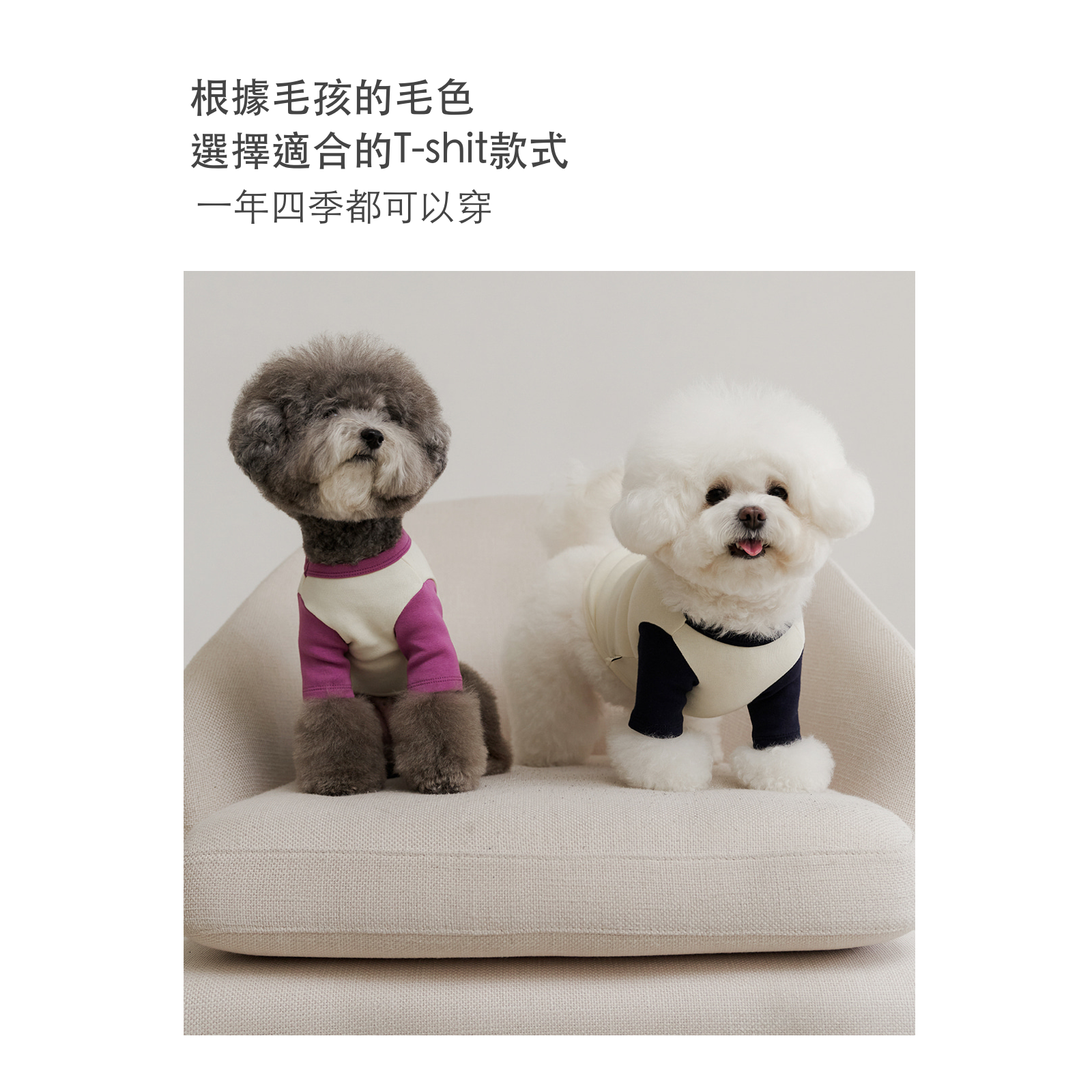 韓國 likalika 經典款 logo 寵物衣服
