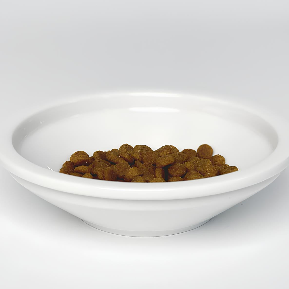 韓國 MoNYA  釉光陶瓷貓碗 Easy Fit Bowl - 高品質寵物餐桌 - 特價 $TWD 590｜LOVE PET FAMILY