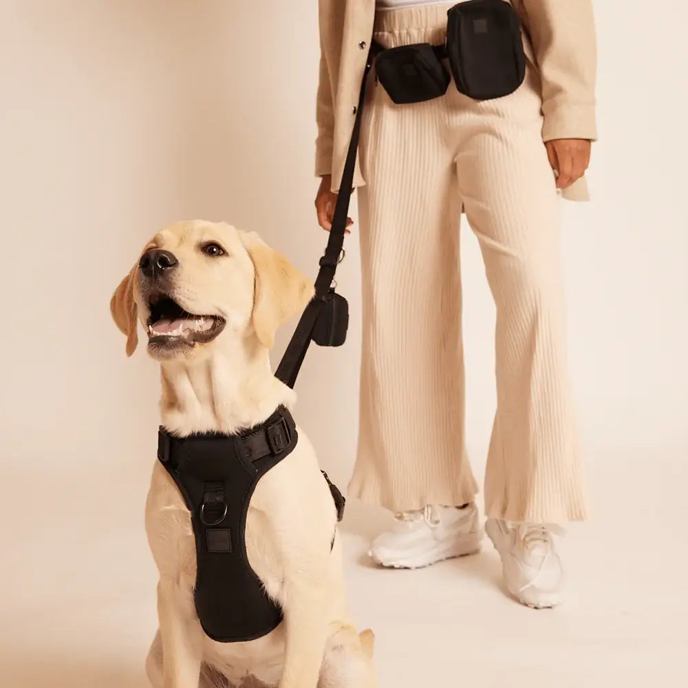 アメリカのマックスボーン マカロン 多機能ハンズフリー ペット リード Ease Hands Free Leash 