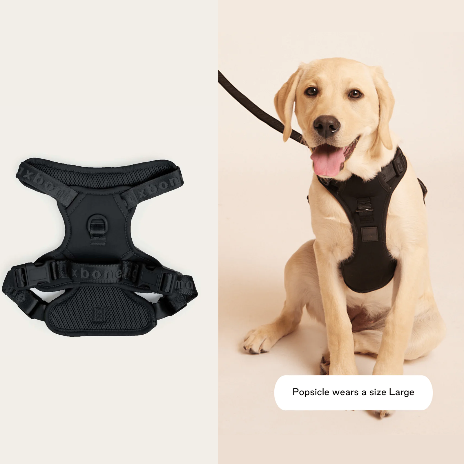 American maxbone macaron breathable pet harness Easy Fit Harness 