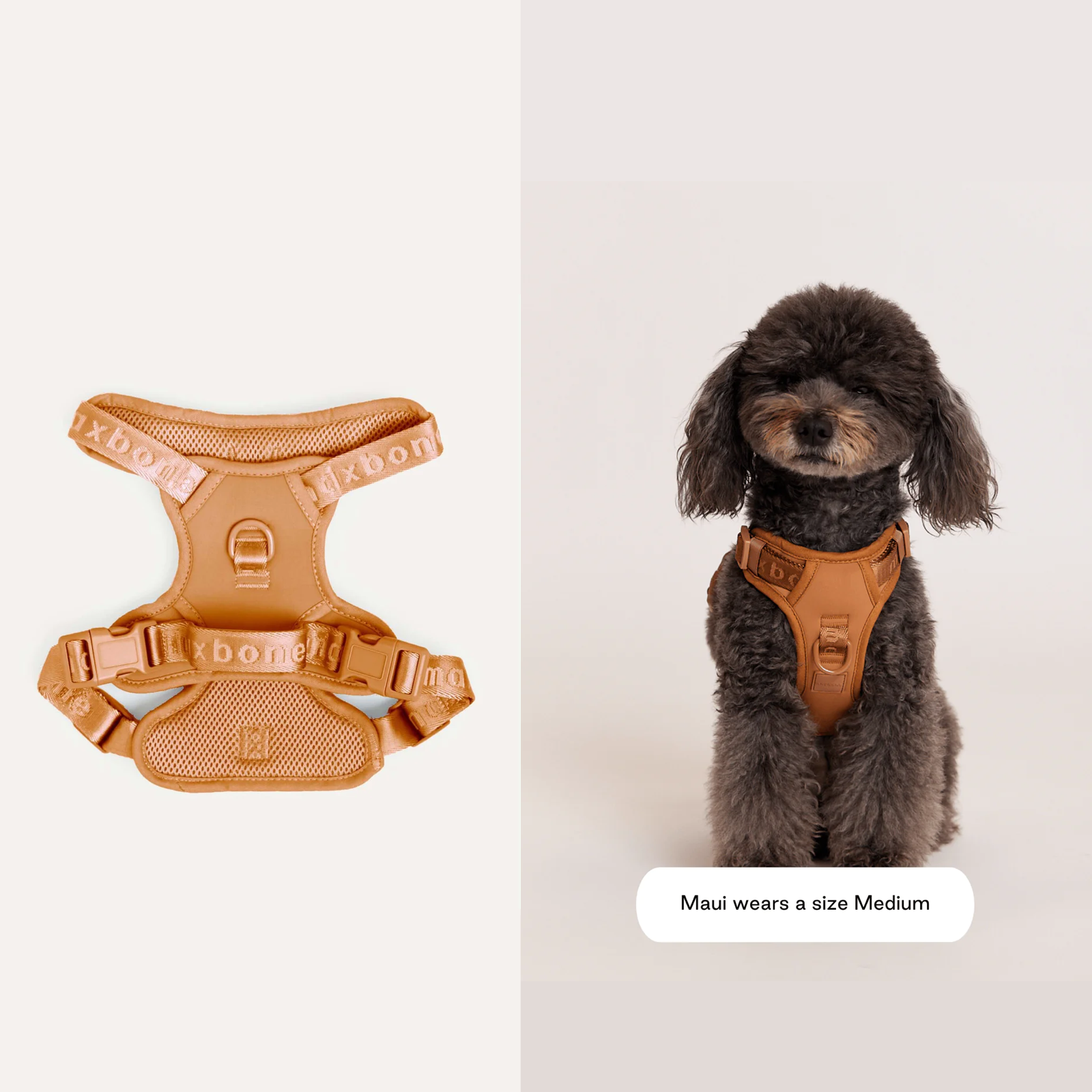 American maxbone macaron breathable pet harness Easy Fit Harness 