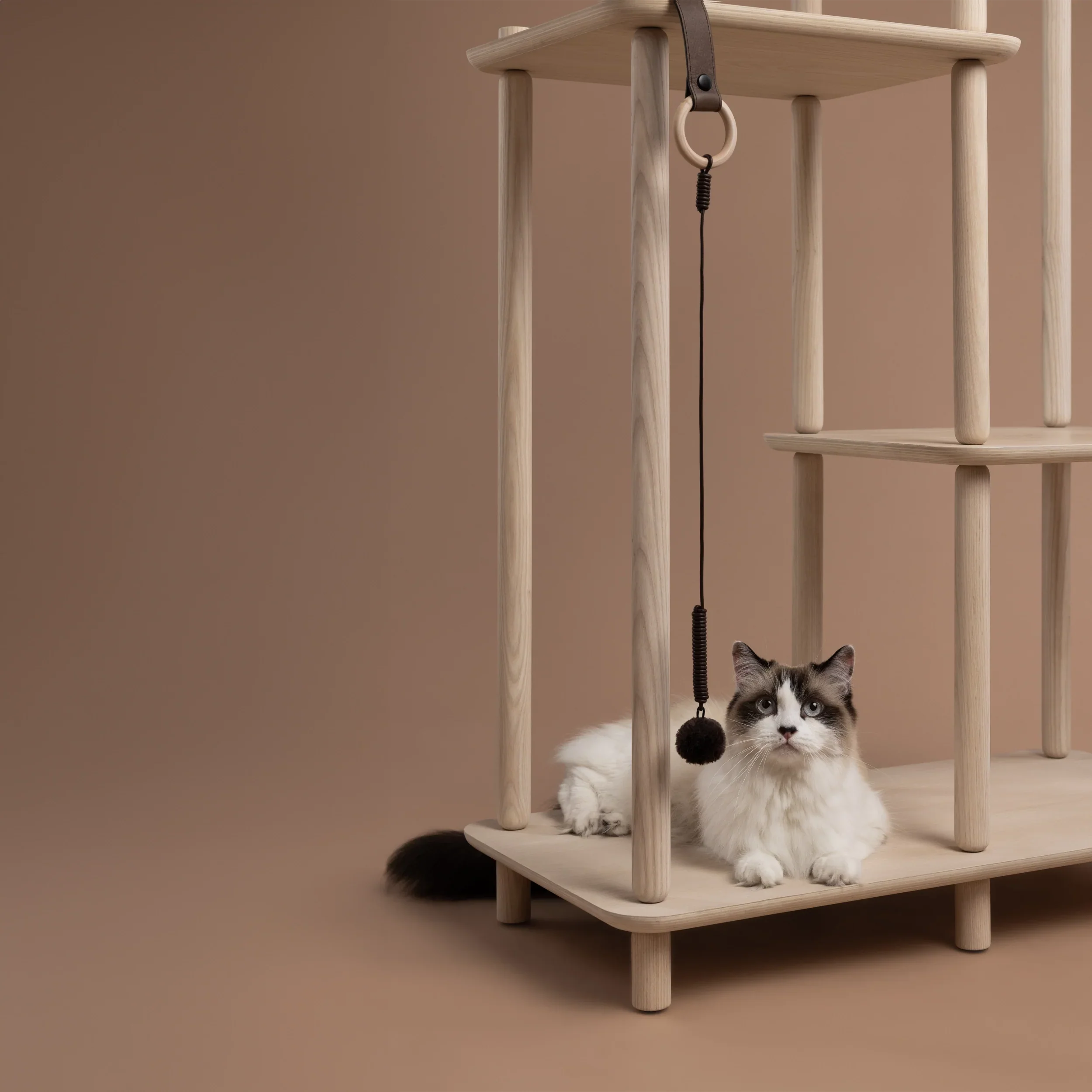 加拿大 PAPUK 貓跳台爬架逗貓棒 Connect Toy - LOVE PET FAMILY