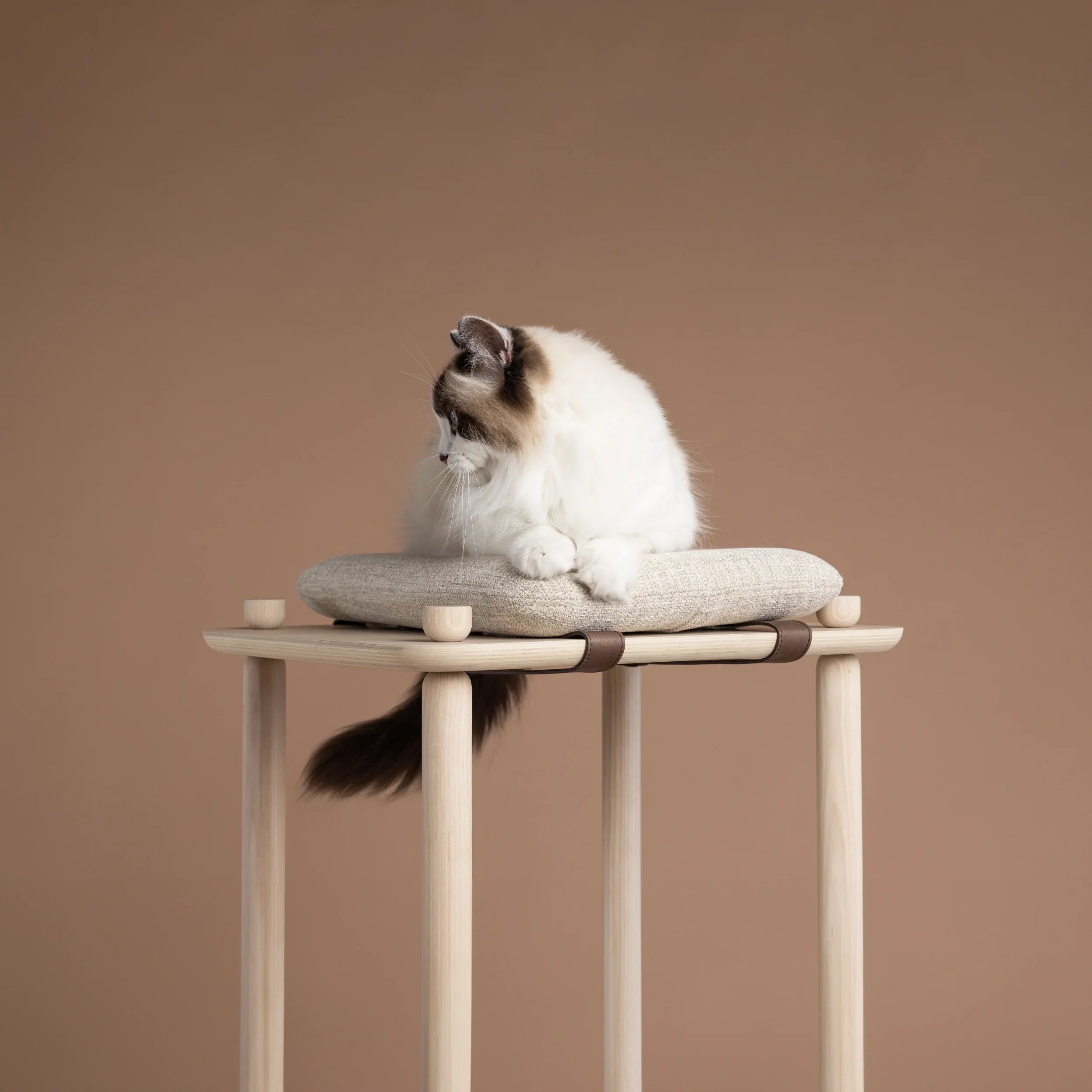 加拿大 PAPUK 貓跳台爬架寵物墊 Connect Cushion - LOVE PET FAMILY