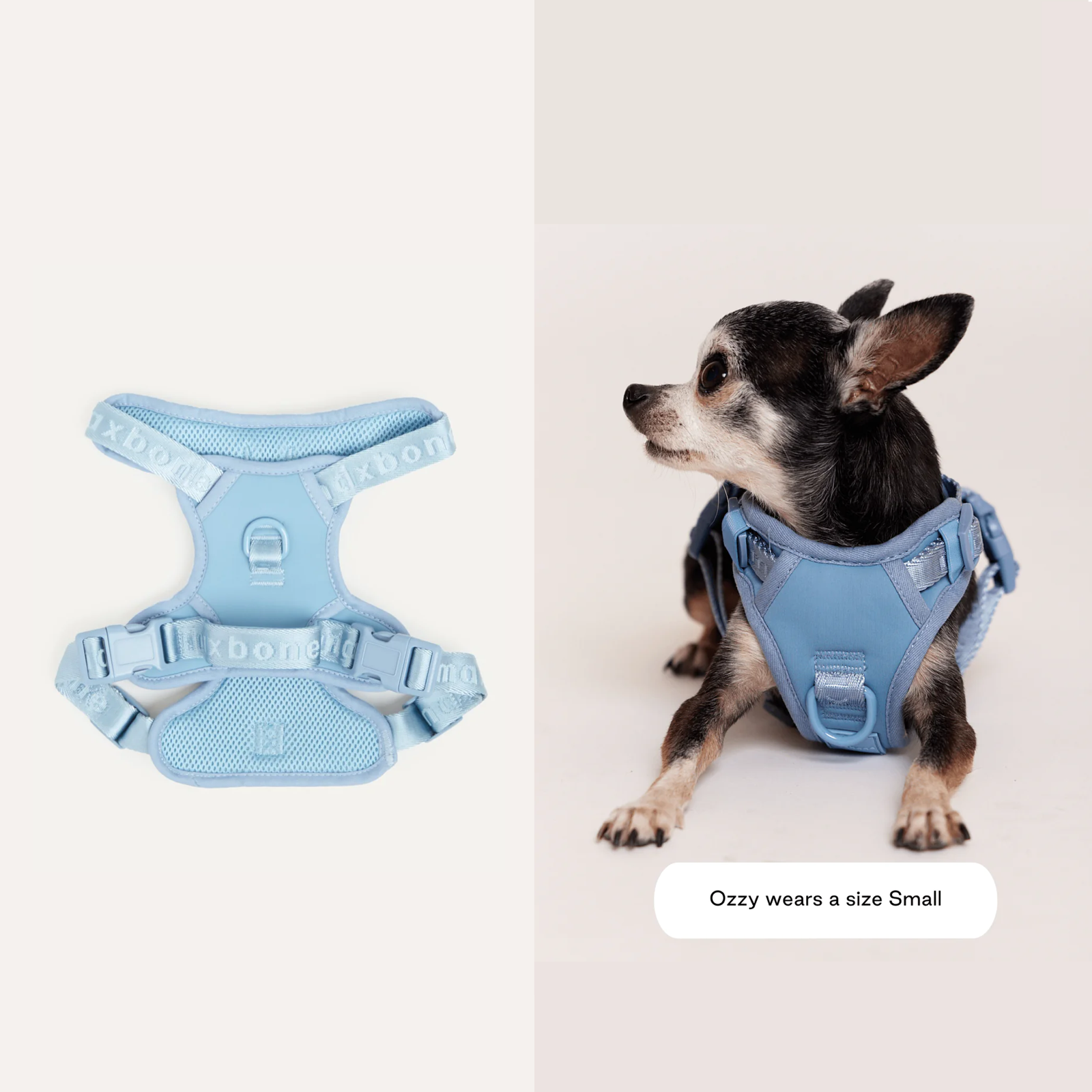 American maxbone macaron breathable pet harness Easy Fit Harness 
