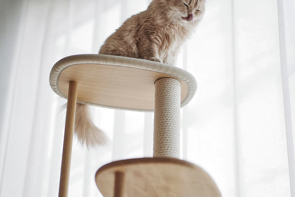 日本 KARIMOKU Cat Tree 貓跳台爬架｜實木｜藍色＆橡木摩卡棕 - LOVE PET FAMILY