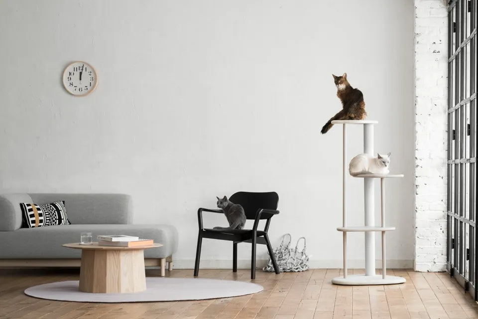 日本 KARIMOKU Cat Tree 貓跳台爬架｜實木｜米色＆胡桃原木色 - 高品質貓跳台 - 特價 $TWD 17270｜LOVE PET FAMILY