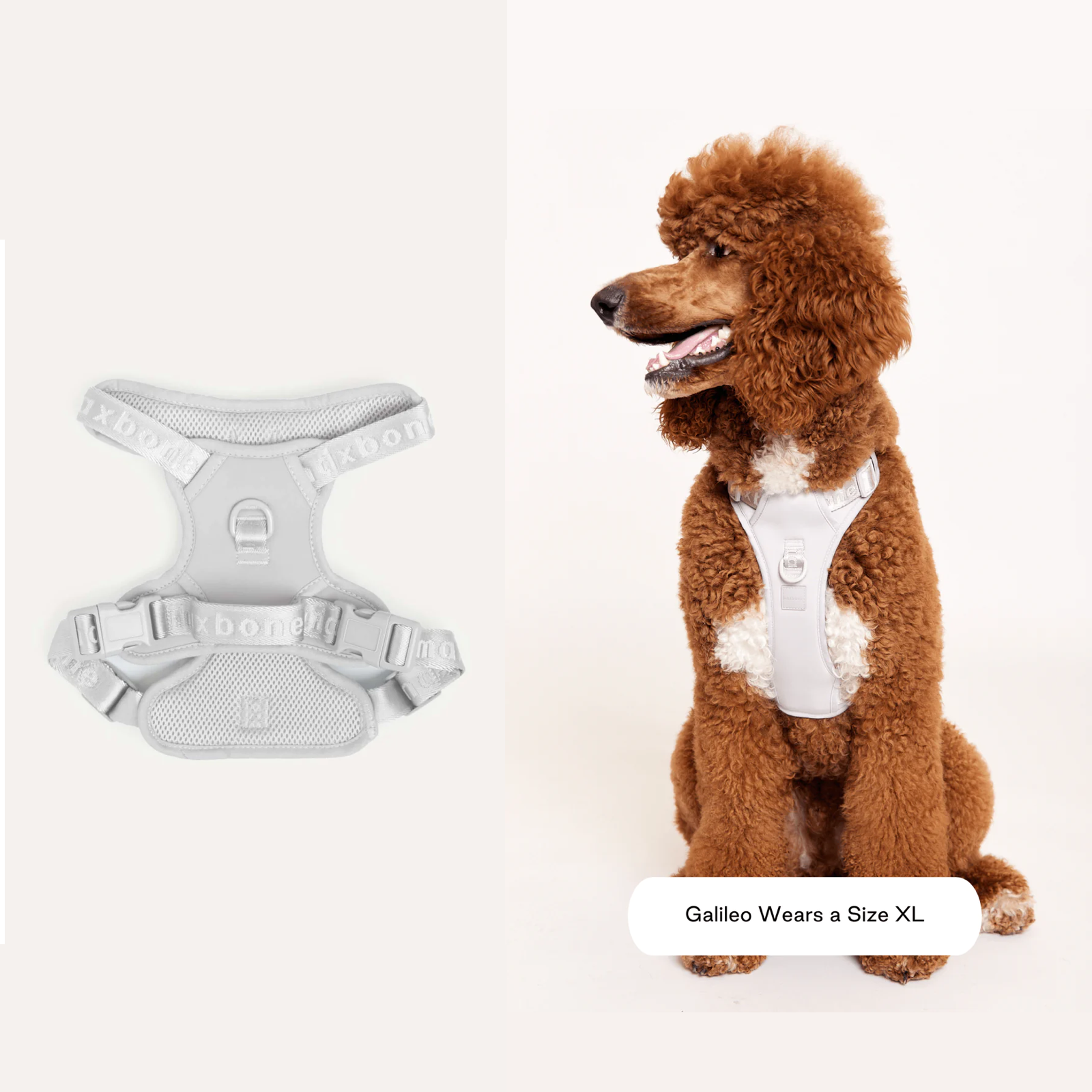 American maxbone macaron breathable pet harness Easy Fit Harness 