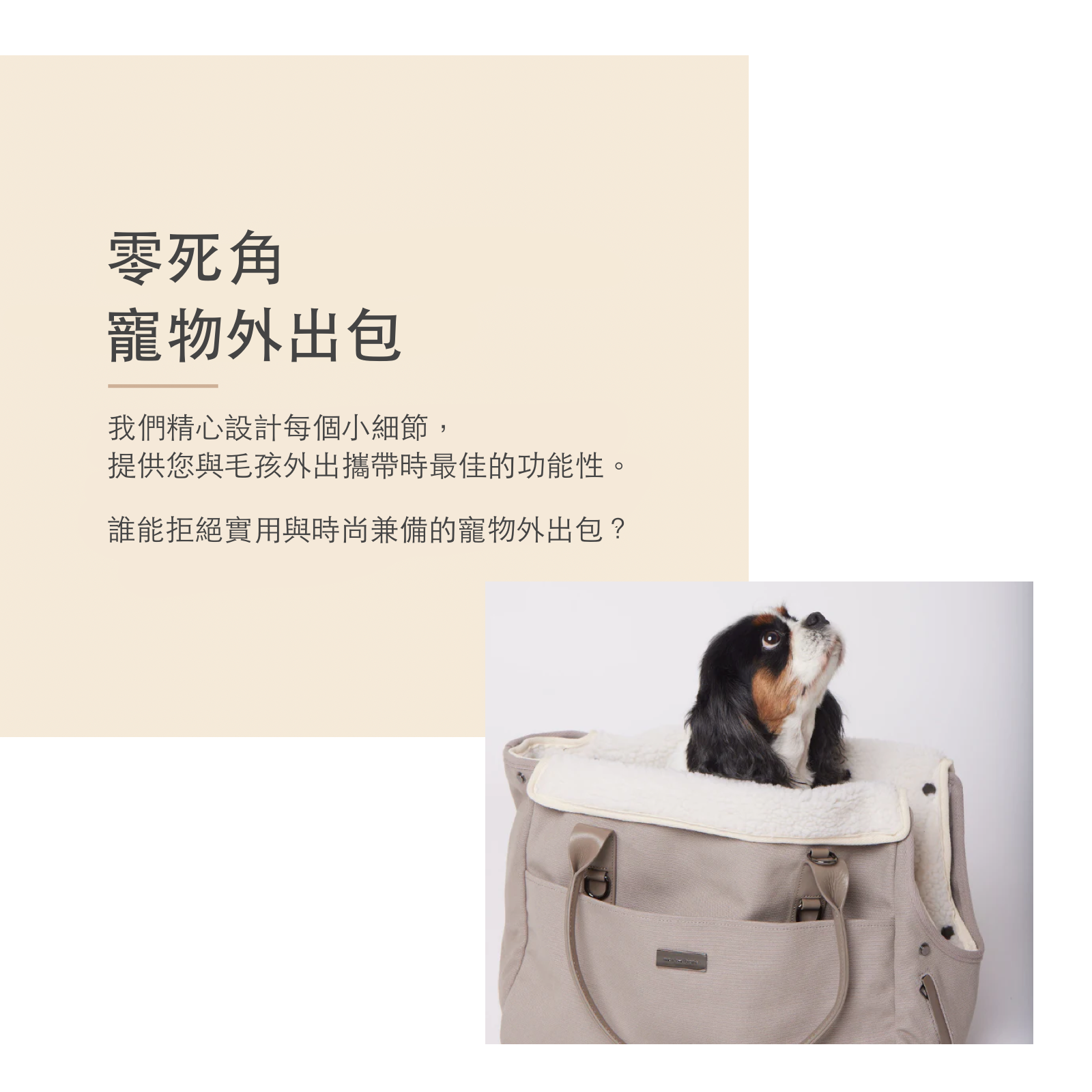 American maxbone portable pet outing bag City Carrier Bag 