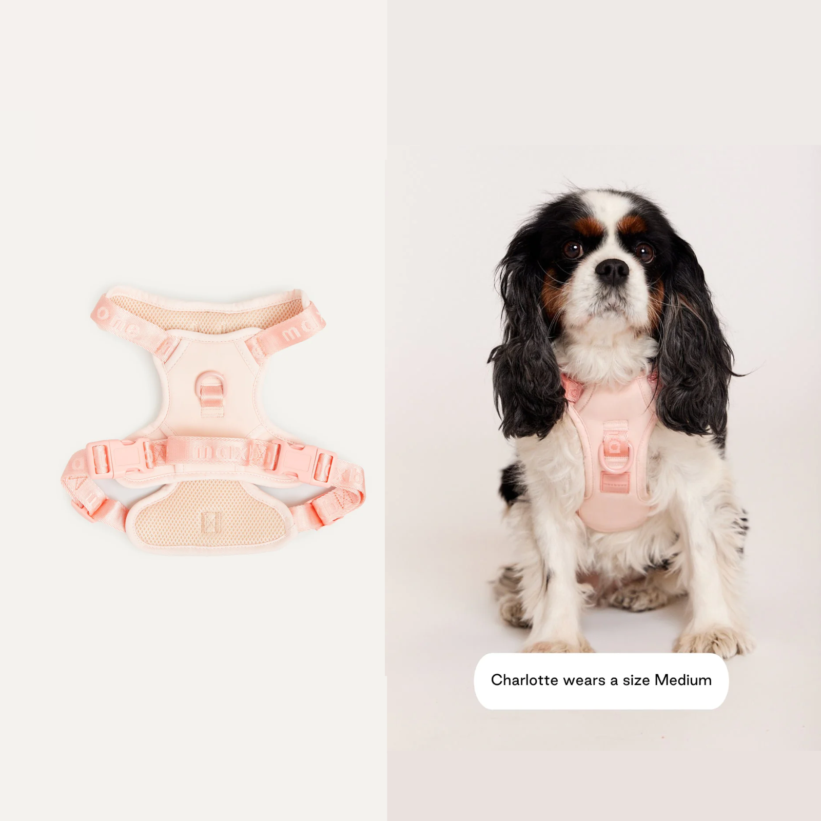 American maxbone macaron breathable pet harness Easy Fit Harness 