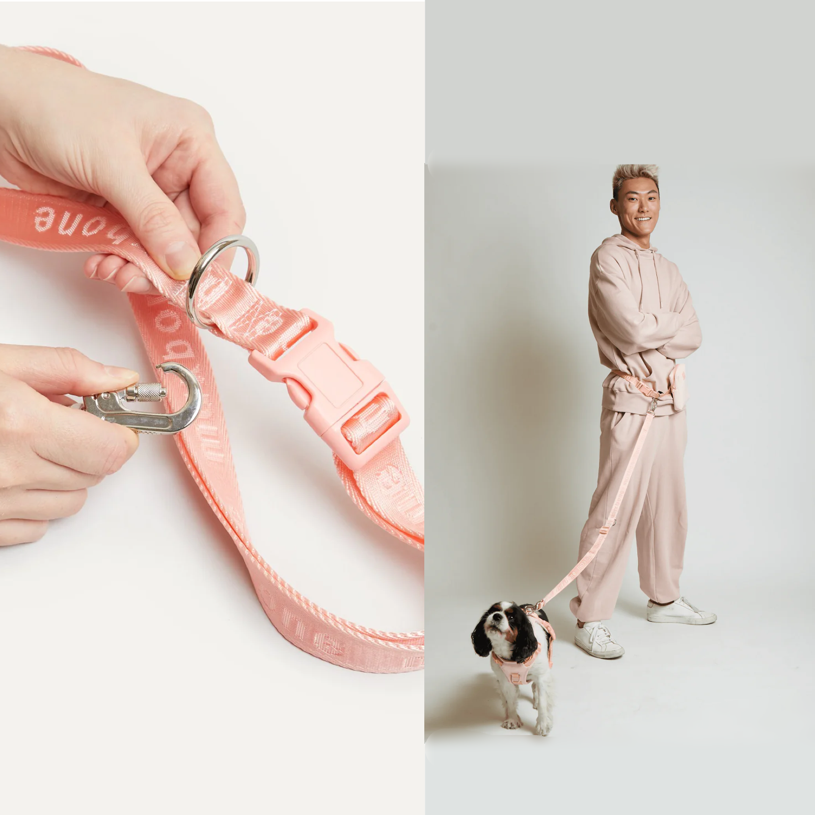 アメリカのマックスボーン マカロン 多機能ハンズフリー ペット リード Ease Hands Free Leash 