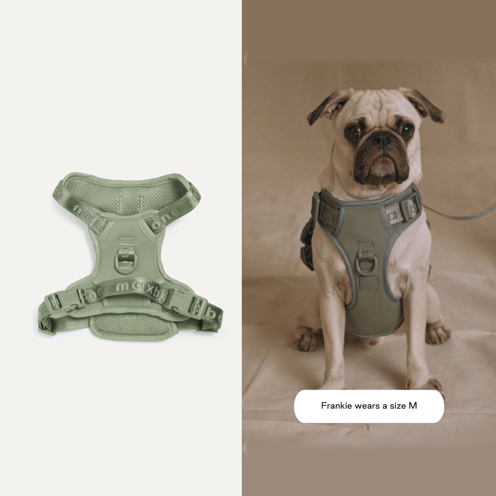 American maxbone macaron breathable pet harness Easy Fit Harness 