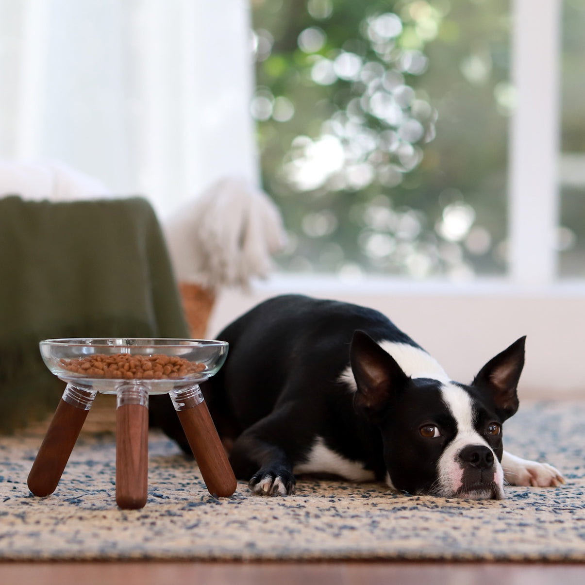 韓國 inherent 玻璃寵物碗 oreo glass - LOVE PET FAMILY