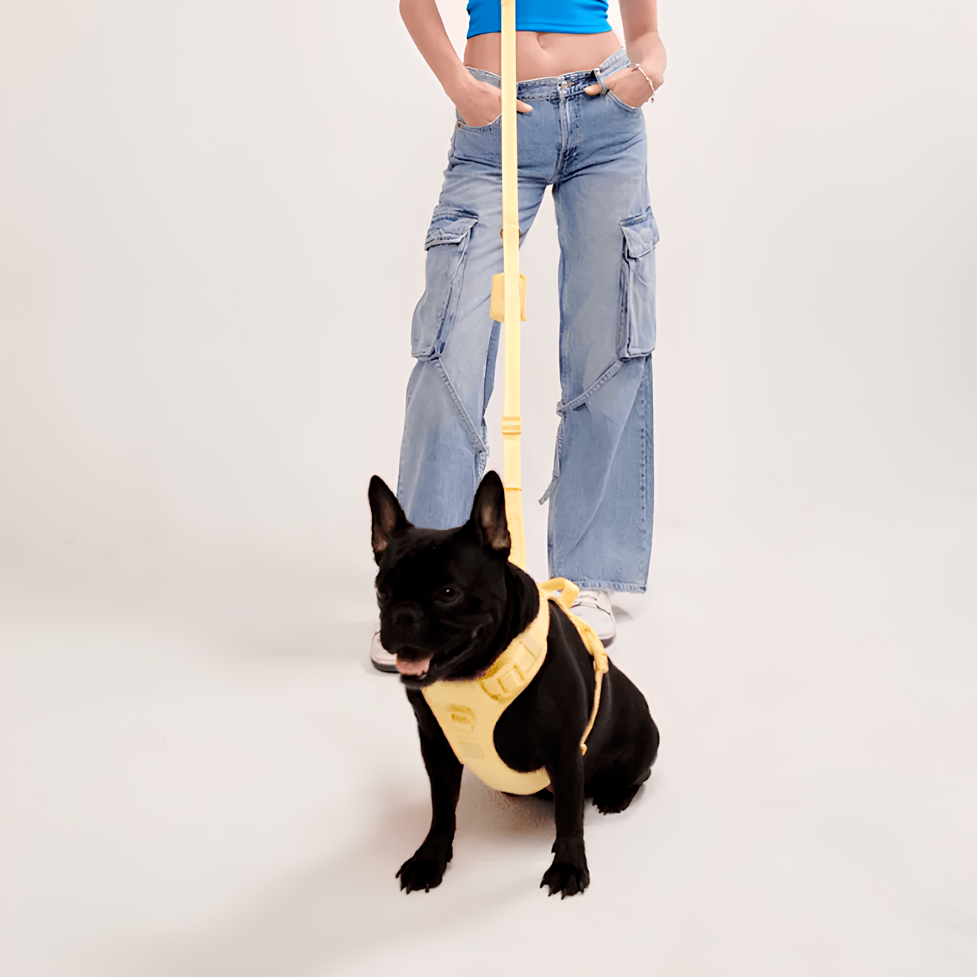 American maxbone macaron multifunctional hands-free pet leash Ease Hands Free Leash 