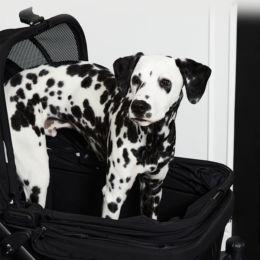 [Wholesale] 韓國 POMPOLARR PET 低重心雙開敞篷寵物推車｜一秒自動收車｜黎明黑 - 高品質 - 特價 $TWD 25800｜LOVE PET FAMILY